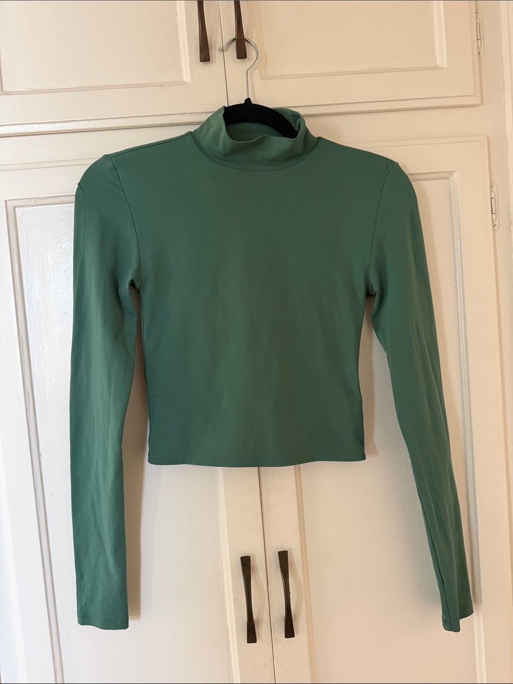 Aritzia Babaton Turtleneck